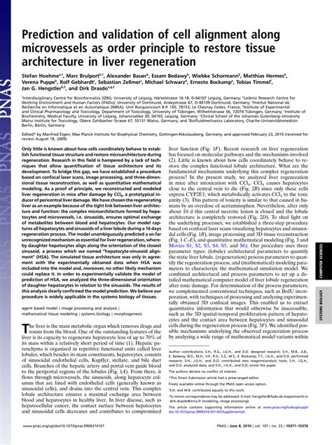 wiebke hermes|Prediction and validation of cell alignment along  .